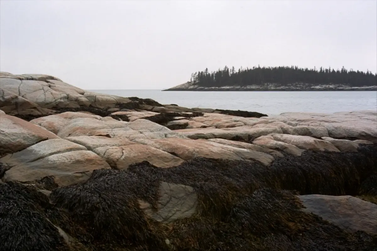 Granite shoreline ledges on the Maine coast